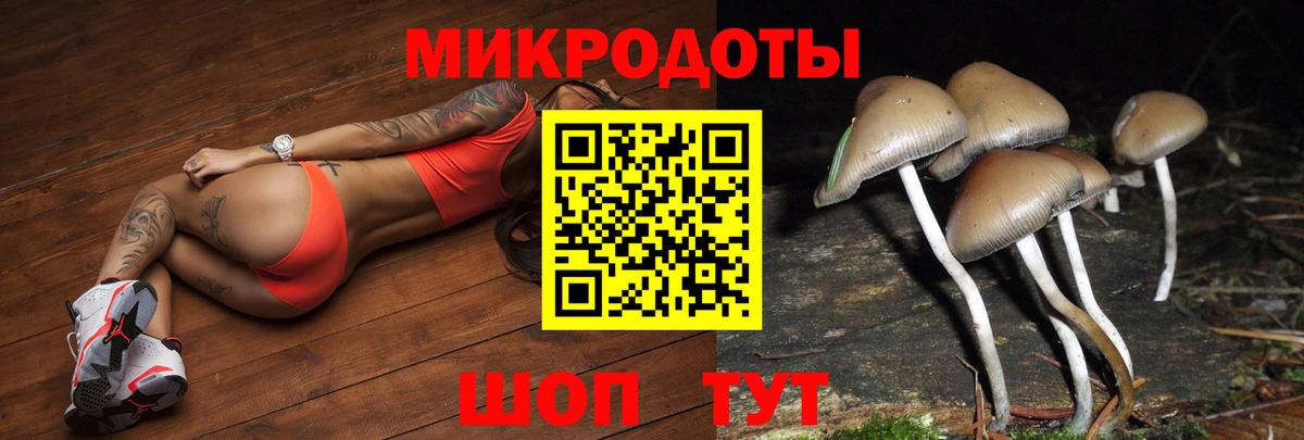 Вятские Поляны  Галлюциногенные грибы MAGIC MUSHROOMS  Псилоцибиновые грибы MAGIC MUSHROOMS  Вход с VPN 